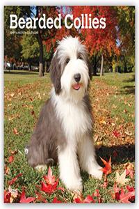 Bearded Collie 2021 Wall Calendar