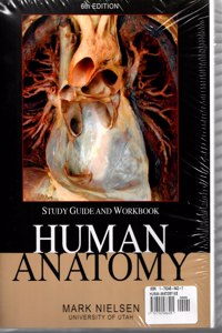 Human Anatomy