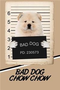 Bad Dog Chow Chow