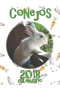 Conejos 2018 Calendario (EdiciÃ³n EspaÃ±a)
