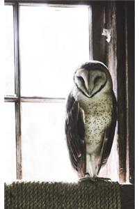 Barn Owl - Lined Notebook with Margins - 5