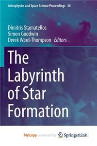 The Labyrinth of Star Formation