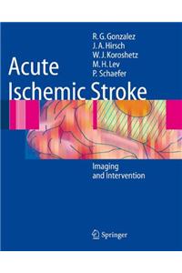 Acute Ischemic Stroke: Imaging and Intervention