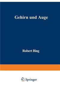Gehirn und Auge