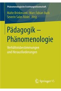 Pädagogik - Phänomenologie