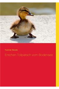 Entchen Tollpatsch vom Bodensee