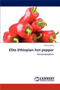 Elite Ethiopian Hot Pepper