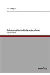 Risikocontrolling in Medienunternehmen