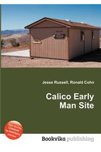 Calico Early Man Site