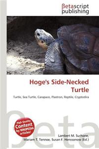 Hoge's Side-Necked Turtle