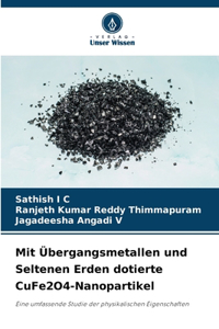 Mit Übergangsmetallen und Seltenen Erden dotierte CuFe2O4-Nanopartikel