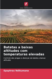 Batatas a baixas altitudes com temperaturas elevadas