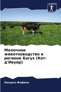 Молочное животноводство в регионе Багуэ
