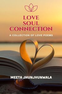 Love Soul Connection