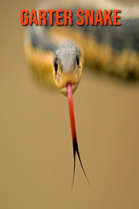 Garter Snake