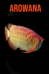 Arowana