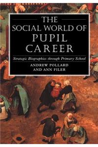 Social World of Pupil Career