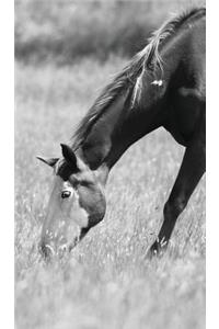 Petite Equine Journal: Equine Themed Journal or Notebook
