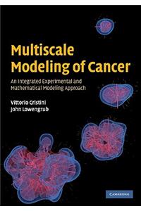 Multiscale Modeling of Cancer