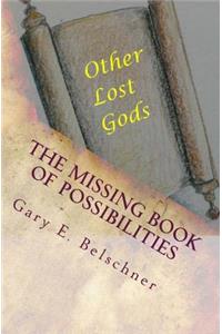 missing Book of Possibilities