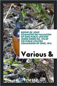 REPORT OF JOINT COMMITTEE ON VALUATION O