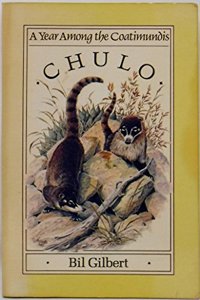 Chulo