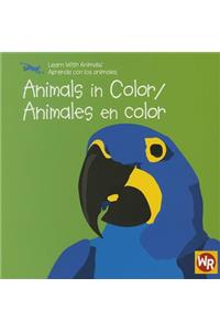 Animals in Color / Animales En Color