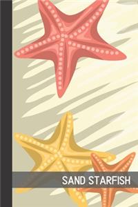 Sand Starfish