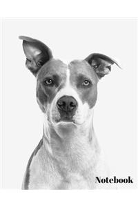 Dog Notebook