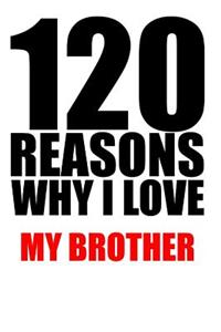 120 reasons why i love my brother