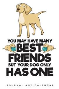 You May Have Many Best Friends But Your Dog Only Has One