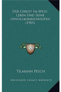 Christ Im Welt-Leben Und Seine Unvollkommenheiten (1901)