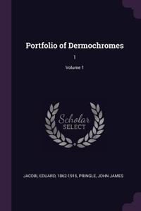 Portfolio of Dermochromes