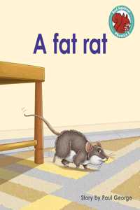 A fat rat