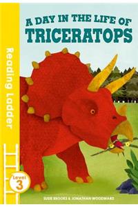 A day in the life of Triceratops