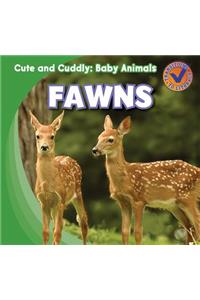 Fawns