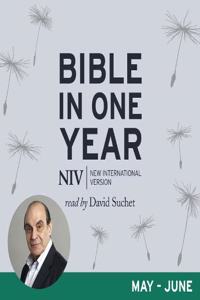 NIV AUDIO BIBLE IN ONE YEAR MAY JU