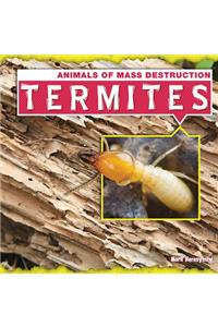 Termites