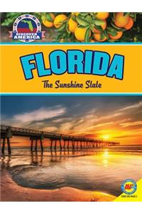 Florida: The Sunshine State