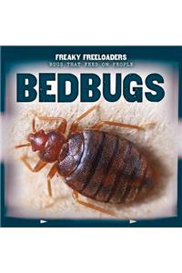 Bedbugs