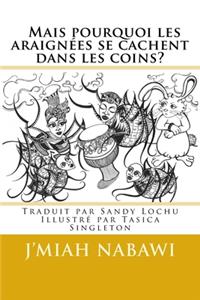 Mais pourquoi les araignées se cachent dans les coins?