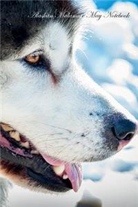 Alaskan Malamute May Notebook Alaskan Malamute Record, Log, Diary, Special Memories, To Do List, Academic Notepad, Scrapbook & More