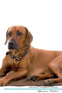 Rhodesian Ridgeback Affirmations Workbook Rhodesian Ridgeback Presents