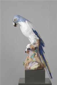 Antique Porcelain Blue Macaw Bird Journal