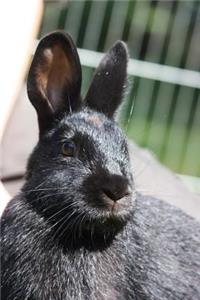 Cute Munchkin Bunny Journal