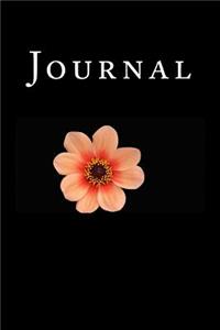 Journal