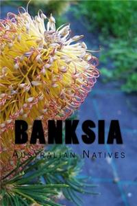 Banksia