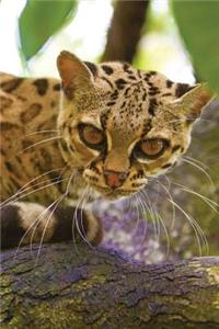 Ocelot Any Day Planner Notebook