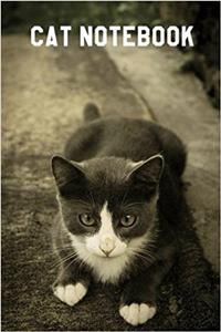 Cat Notebook