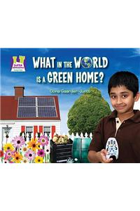 What in the World Is a Green Home?